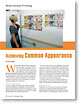 Achieving Common Appearance